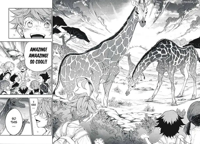 The Promised Neverland chapter 181.9 image 13_optimized